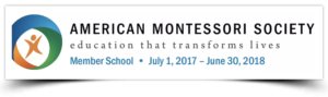 Screen Shot 2018-02-03 at 9.31.55 AM students learning about land and water forms using Montessori globes