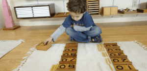a child studying animal life cycles using Montessori zoology materials