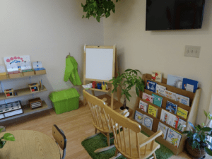 students studying biology with Montessori classification cards