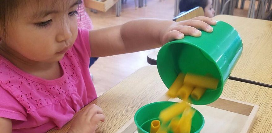 children sorting objects by shape and size in Montessori sensorial activities
