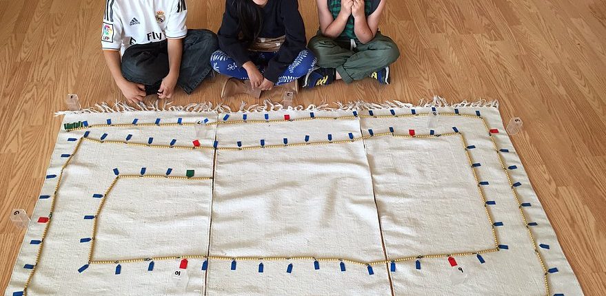 students studying biology with Montessori classification cards