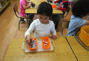 a child arranging flowers to beautify the environment, practicing fine motor control