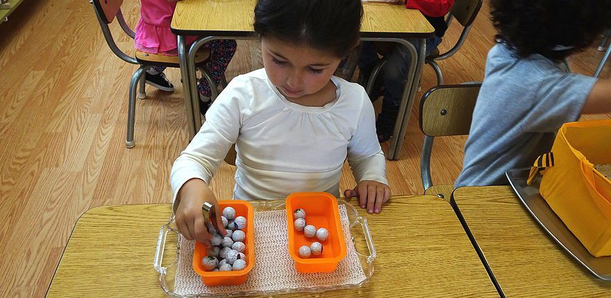 a child arranging flowers to beautify the environment, practicing fine motor control
