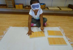 children sorting objects by shape and size in Montessori sensorial activities