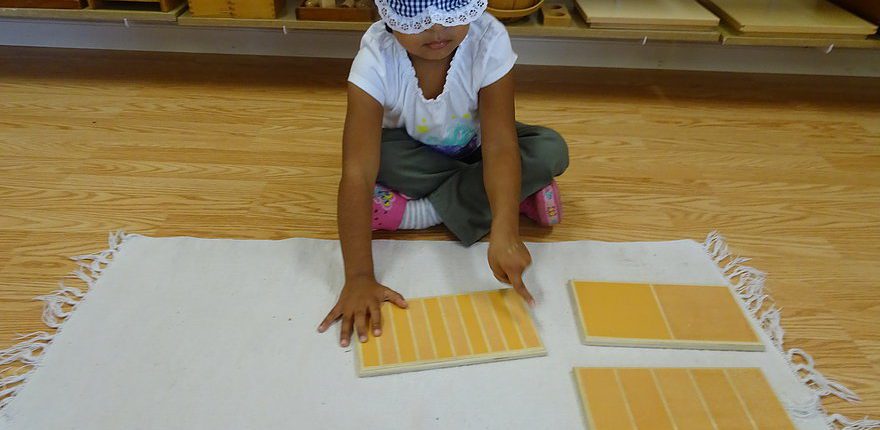 children sorting objects by shape and size in Montessori sensorial activities